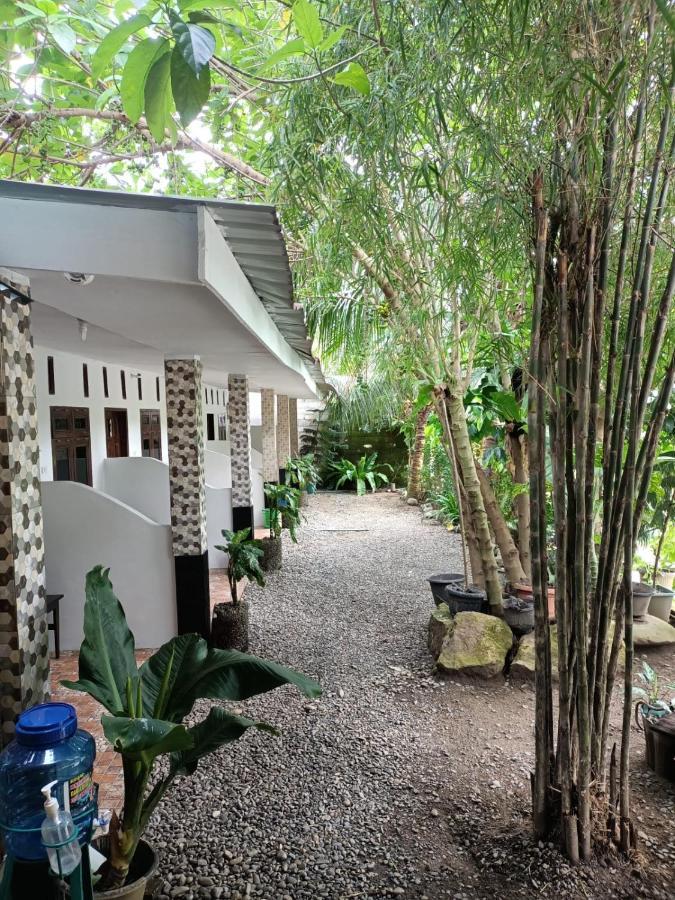 Brown Bamboo Guest House & Trekking Bukit Lawang Zewnętrze zdjęcie